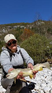 October Marble trout, Slovenia fly fishing